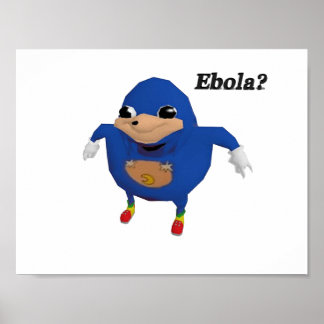 Ugandan Sanic Warrior Poster