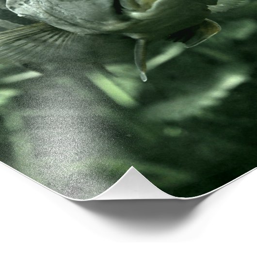 Ugly Aquarium Fish Foto Afdruk (Hoek)