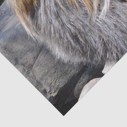 Ugly Chicken, Weefselpapier Tissuepapier (Detail)