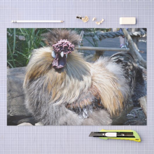 Ugly Chicken, Weefselpapier Tissuepapier (Craft)