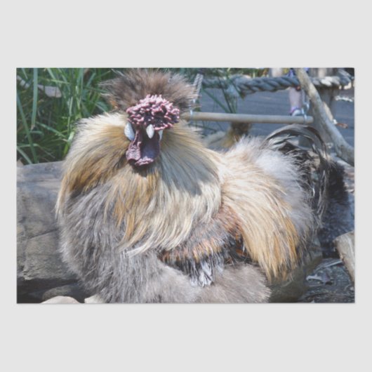 Ugly Chicken, Weefselpapier Tissuepapier (Voorkant)