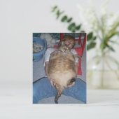 Ugly Fat Cat Briefkaart (Staand voorkant)