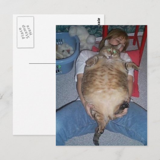 Ugly Fat Cat Briefkaart (Voorkant / Achterkant)
