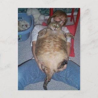 Ugly Fat Cat Briefkaart