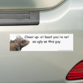 Ugly Iguana Bumpersticker (Op auto)