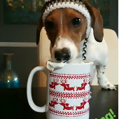 Ugly Sweater Reindeer Dachshund Tea Coffee Mok