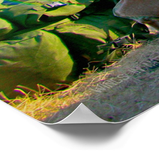 UH-60M BLACKHAWK POSTER (Hoek)