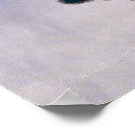 UH-60M ZWARTE HAWK POSTER (Hoek)