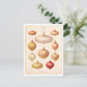 Ui Botanische Illustratie uit Zaad Catalogus Briefkaart (Staand voorkant)