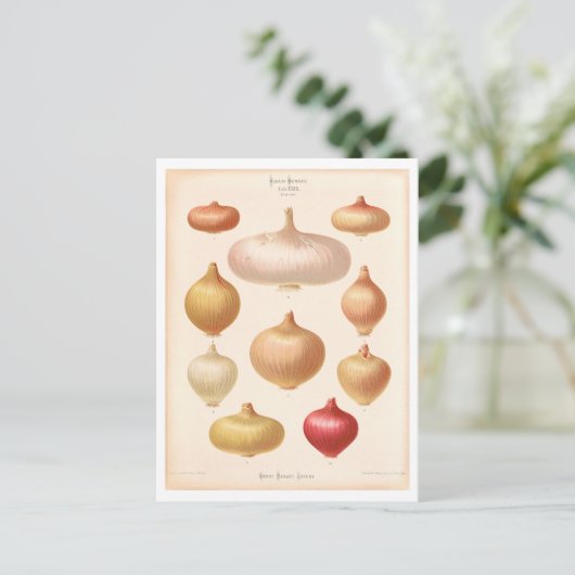 Ui Botanische Illustratie uit Zaad Catalogus Briefkaart (Staand voorkant)