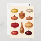 Uien Briefkaart (Voorkant / Achterkant)