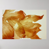 Uien Huid Poster (Voorkant)