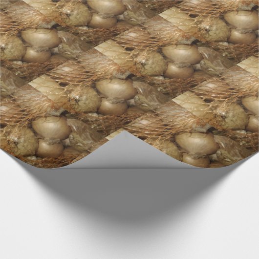 Uien in het net, groente en fruit, pikante koken cadeaupapier (Hoek)