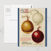  uienkaart briefkaart (Voorkant / Achterkant)