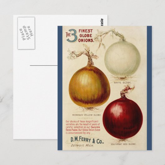 uienkaart briefkaart (Voorkant / Achterkant)