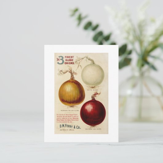  uienkaart briefkaart (Staand voorkant)