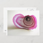 Uienlagen Briefkaart (Voorkant / Achterkant)