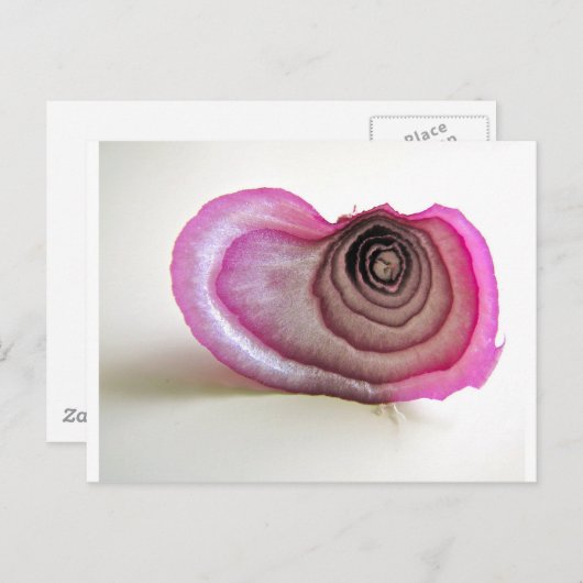 Uienlagen Briefkaart (Voorkant / Achterkant)