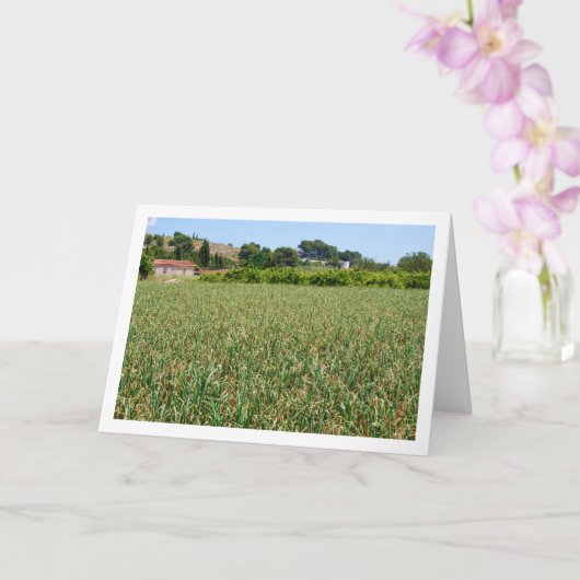 Uienveld Landschap Kaart (Orchidee)