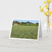 Uienveld Landschap Kaart (Gele Bloem)