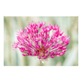 Uienventiel Foto Afdruk (Voorkant)