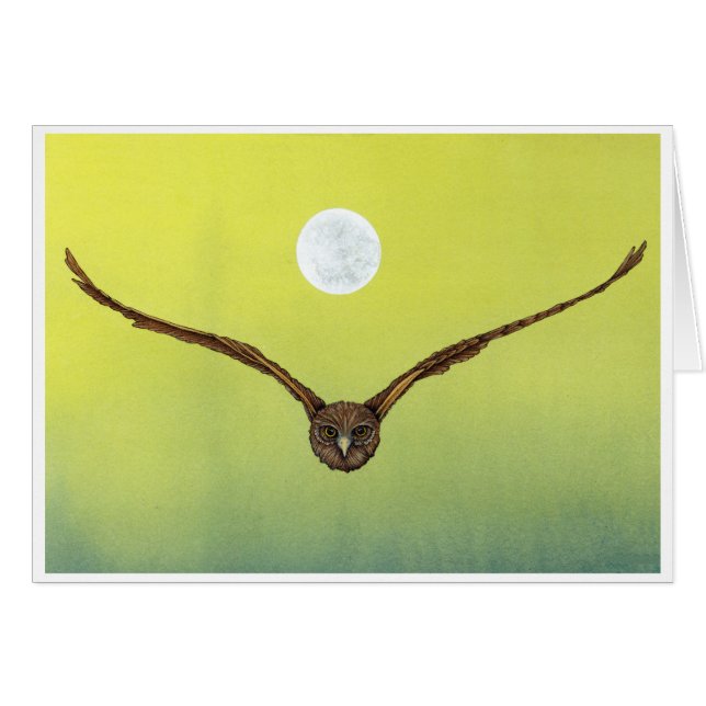 Uil (Voorkant Horizontaal)