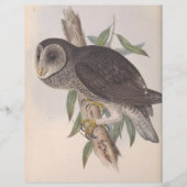 Uil (Voorkant)