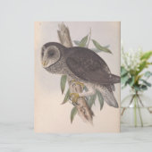 Uil (Staand voorkant)