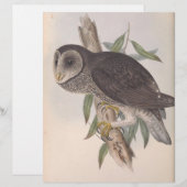 Uil (Voorkant / Achterkant)