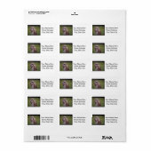 Uil (5) etiket (Full Sheet)