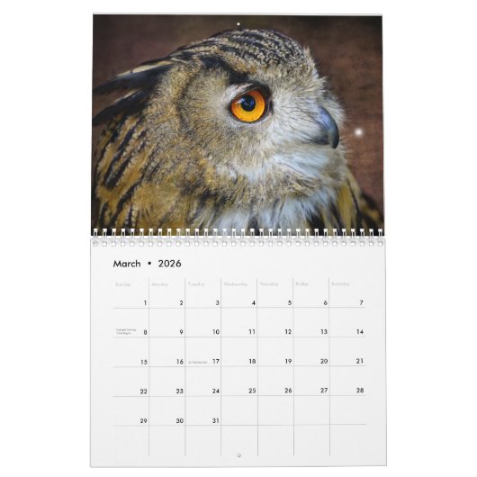 Uil Afbeeldingen en Afbeeldingen 2025 Kalender (Mar 2026)