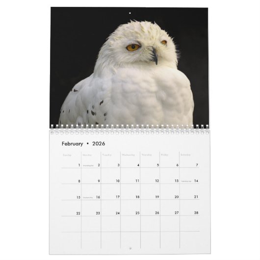 Uil Afbeeldingen en Afbeeldingen 2025 Kalender (Feb 2026)