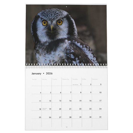 Uil Afbeeldingen en Afbeeldingen 2025 Kalender (Jan 2026)