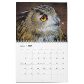 Uil Afbeeldingen en Afbeeldingen 2025 Kalender (Mar 2027)