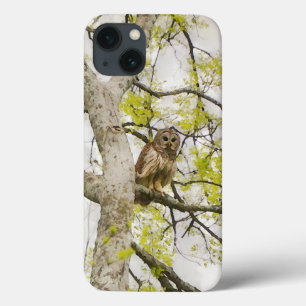 Uil Art Wild Natuur Telefoon Case