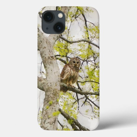 Uil Art Wild Natuur Telefoon Case (Achterkant)
