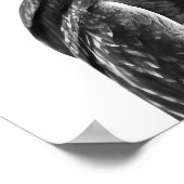 Uil Bos Modern Portret zwart wit  Poster (Hoek)