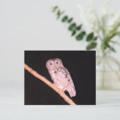 Uil briefkaart (Staand voorkant)