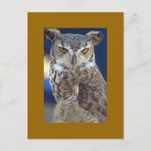 uil briefkaart