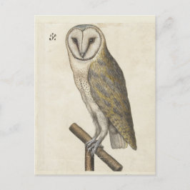 Uil Briefkaart