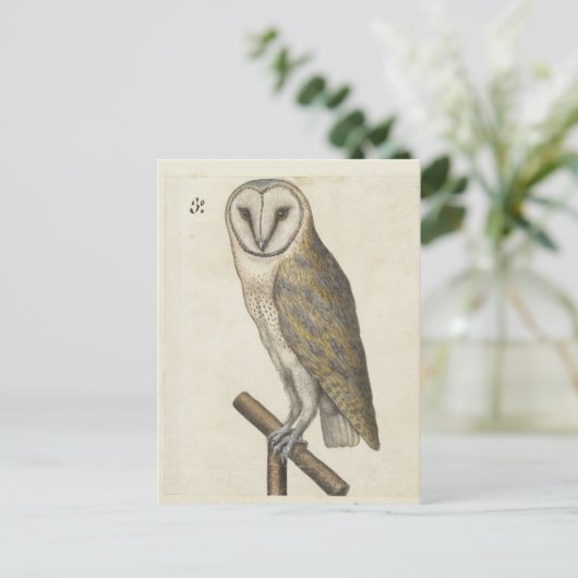  Uil Briefkaart (Staand voorkant)