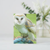 Uil Briefkaart (Staand voorkant)