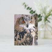 uil briefkaart (Staand voorkant)