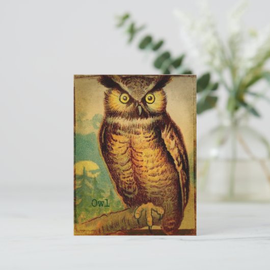 Uil Briefkaart (Staand voorkant)