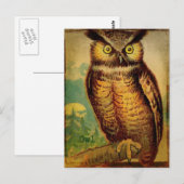 Uil Briefkaart (Voorkant / Achterkant)