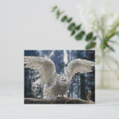 uil briefkaart (Staand voorkant)