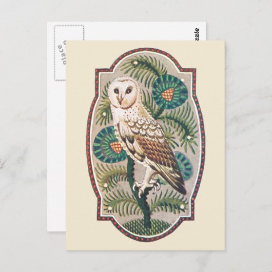 Uil Briefkaart (Voorkant / Achterkant)