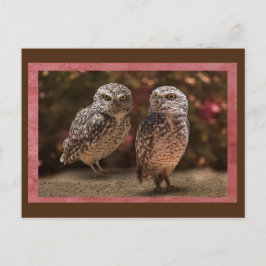 Uil Buddies Postcrossing Briefkaart