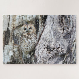Uil Camouflage Wilde Dier Roofvogel Roofdier Vogel Legpuzzel