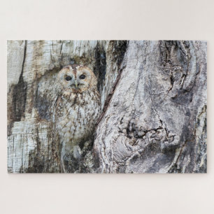 Uil Camouflage Wilde Dier Roofvogel Roofdier Vogel Legpuzzel